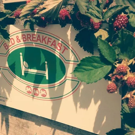 Verde Cielo Bed & Breakfast *