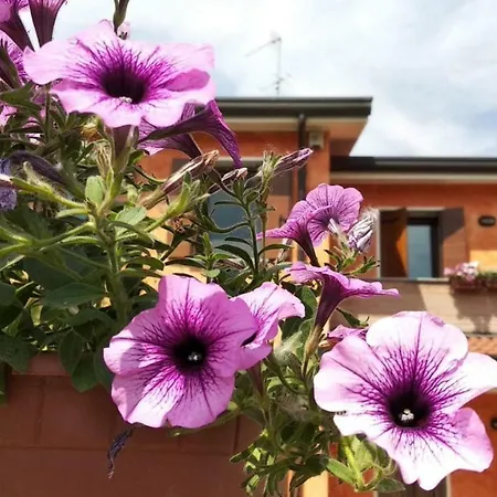 Verde Cielo Bed & Breakfast Tribano